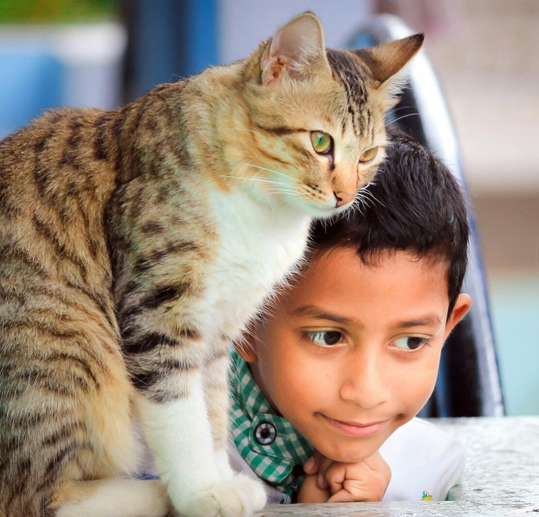 fotografia em close de menino deitado ao lado de gato na mesa