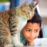 fotografia em close de menino deitado ao lado de gato na mesa