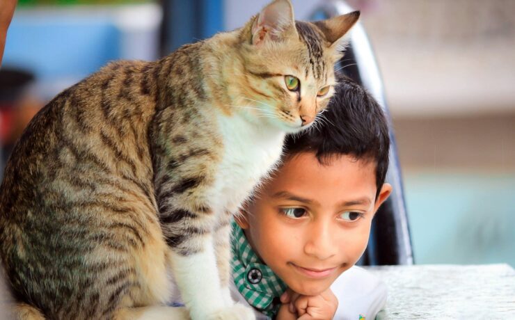 fotografia em close de menino deitado ao lado de gato na mesa