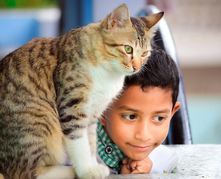 fotografia em close de menino deitado ao lado de gato na mesa
