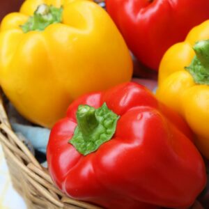 pepper peperone