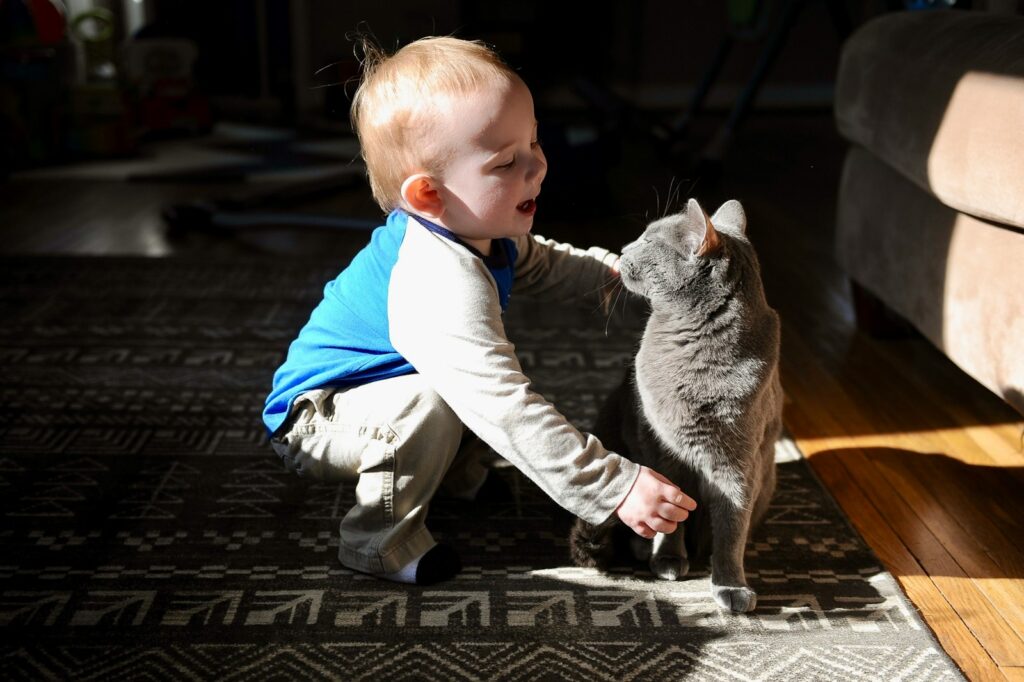 um bebê brincando com um gato no chão