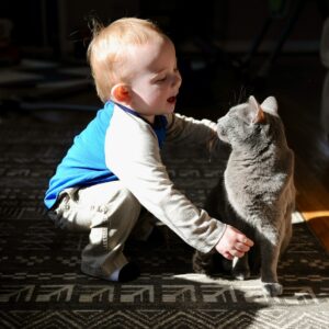um bebê brincando com um gato no chão