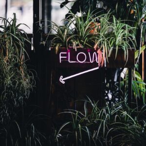 um letreiro de neon que diz fluxo ao lado de algumas plantas
