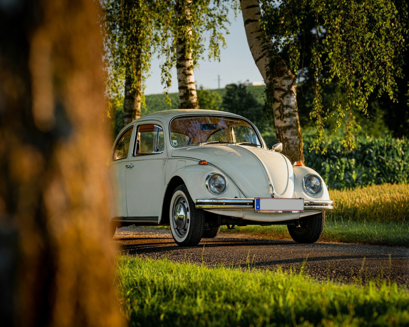Volkswagen Beetle, Fusca, Volks