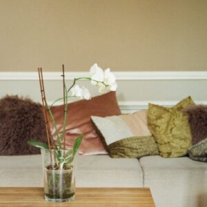 white orchid in clear glass pot on wooden coffee table