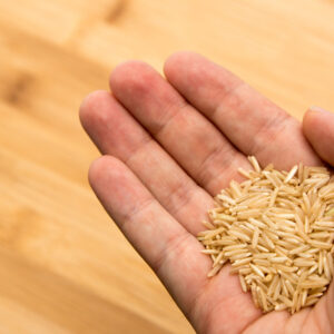 mão segurando um punhado de farelo de arroz