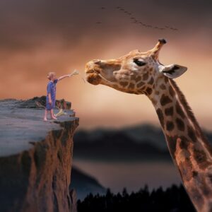 giraffe, child, nature, dream, fantasy, feeding, boy, fairytale, dreaming, nature wallpaper, giraffe, giraffe, giraffe, giraffe, giraffe, dream, dream, fantasy, fantasy