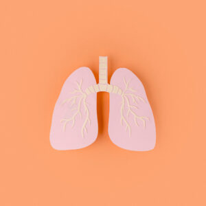lungs