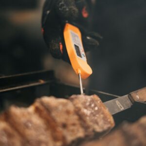 termômetro culinário espetado em pedaços de carne