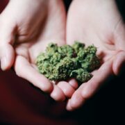 marijuana