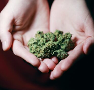 marijuana