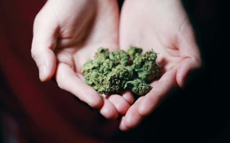 marijuana