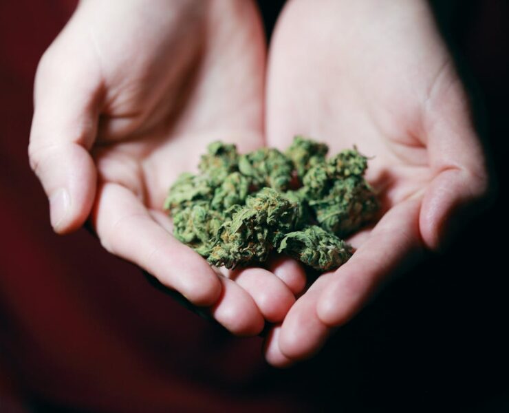 marijuana