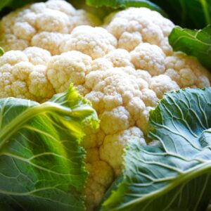 cauliflower, vegetable, food, fresh vegetable, harvest, produce, cauliflower, cauliflower, cauliflower, cauliflower, cauliflower