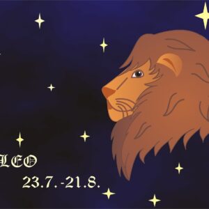 horoscope, sign, zodiac, sign of the zodiac, nature, lion