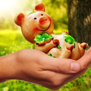 good luck, handful happiness, piggy, lucky pig, congratulations, figure, good luck, good luck, good luck, good luck, good luck, congratulations