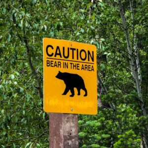 Caution sign warns of bears in lush Manning Park forest, BC, Canada.
