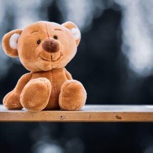 teddy, stuffed animal, fun, toy, teddy bear, cuddly toy, children, cute, bear, plush, little bear, child, plush bear, children's toys, teddy, teddy bear, teddy bear, teddy bear, teddy bear, teddy bear, bear, bear