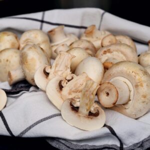 Cogumelos