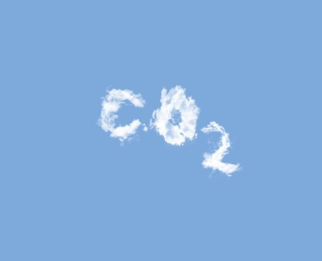 5 coisas que você pode começar a fazer hoje para reduzir sua pegada de carbono