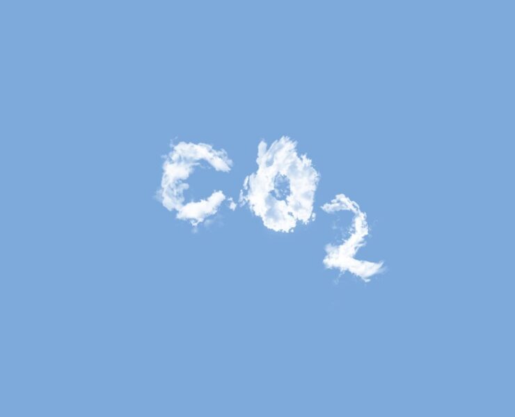 5 coisas que você pode começar a fazer hoje para reduzir sua pegada de carbono
