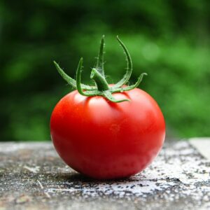 Tomates