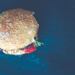 9. Hambúrgueres de fast food não são imortais