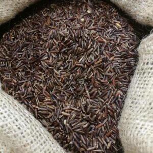 Arroz selvagem