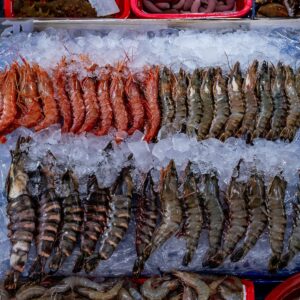 5) Proteínas congeladas sub-enxutas para produtos frescos